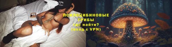 mdpv Белокуриха