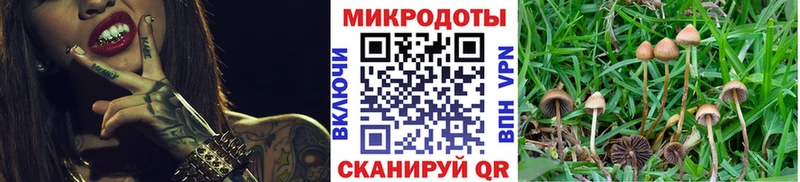 Псилоцибиновые грибы MAGIC MUSHROOMS  Жердевка 