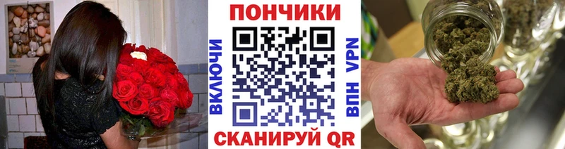 Канабис OG Kush  Жердевка 